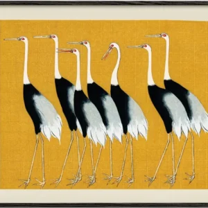 Japanese red-crowned crane vintage illustration