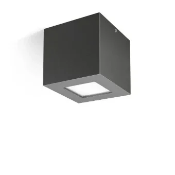 PIL 304490 Decken-/Wandleuchte 100 mm