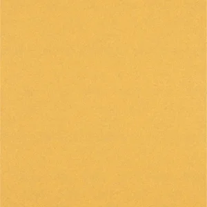 Produktbild von EXPERT C470 Schleifblatt, 230x280mm, K100, keine Löcher