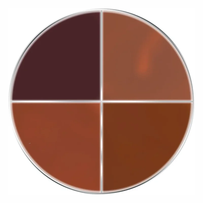 Kryolan Professional Make-up Supracolor Quartet Ageing Stipple