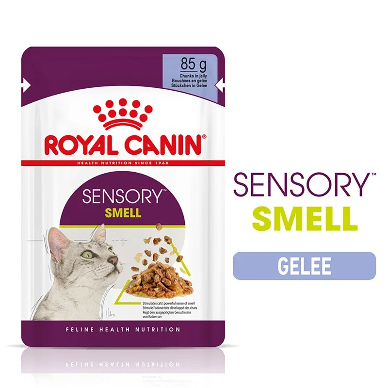 Royal Canin Sensory Smell cat food pouch, chunks in jelly with purple packaging and grey-and-white cat illustration
